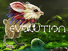 Игровой автомат Evolution